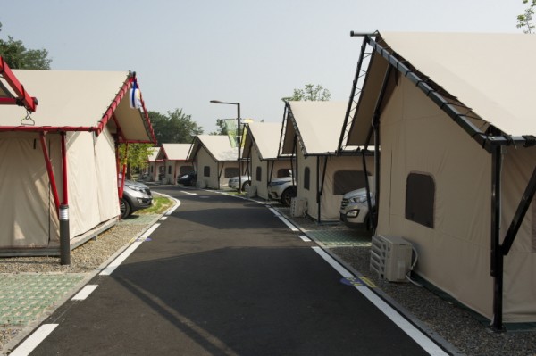 de3ac8c36e5eb9abfc4bd5df6c574965_1545891186_5884.jpg
